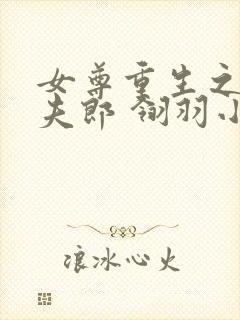 女尊重生之再娶夫郎 翎羽小依封面