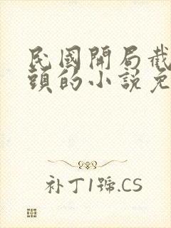 民国开局截胡光头的小说免费