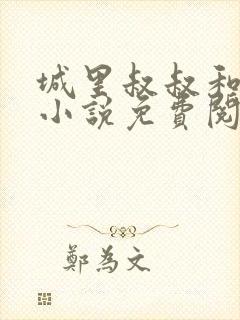 城里叔叔和侄女小说免费阅读全文封面