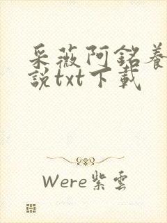 采薇阿铭养父小说txt下载