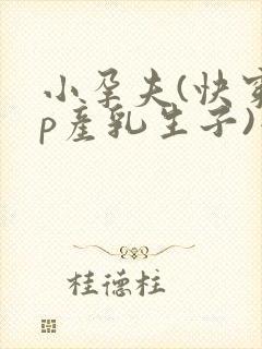 小孕夫(快穿np产乳生子)小说封面