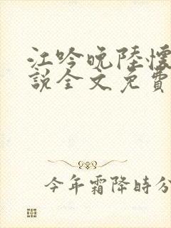 江吟晚陆怀瑾小说全文免费阅读全文