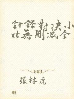 针锋对决小说txt无删减全文