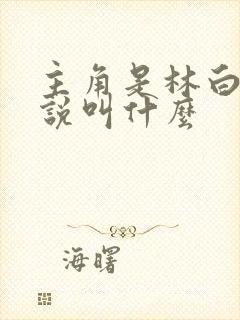 主角是林白的小说叫什么