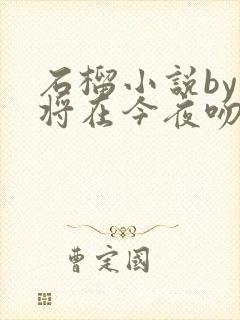 石榴小说by我将在今夜吻你免费阅读