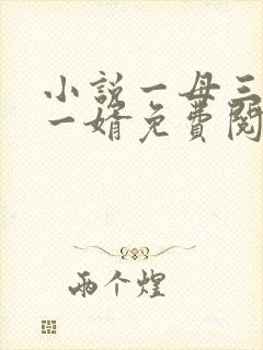 小说一母三女共一婿免费阅读