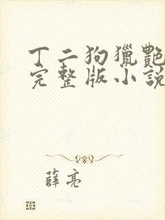 丁二狗猎艳人生完整版小说