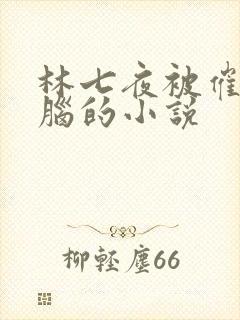 林七夜被催眠洗脑的小说封面