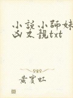 小说小师妹她又凶又靓txt