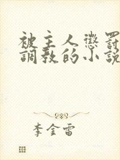 被主人惩罚玩弄调教的小说