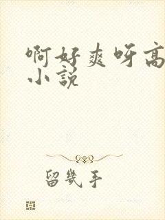 啊好爽呀高潮了小说