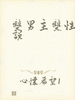 双男主双性人小说