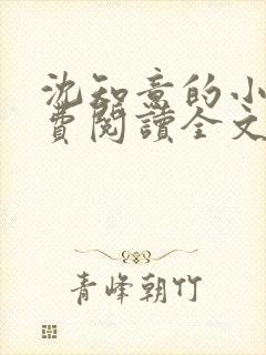 沈知意的小说免费阅读全文