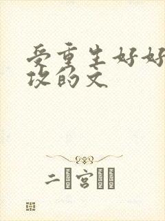 受重生好好珍惜攻的文封面