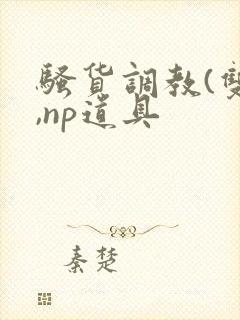 骚货调教(双性,np道具