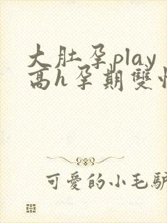 大肚孕play高h孕期双性封面