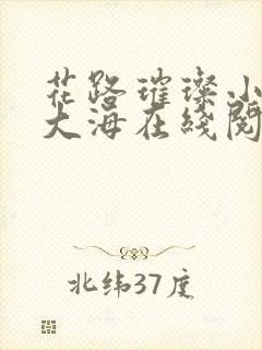 花路璀璨小说王大海在线阅读