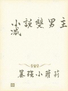 小说双男主无删减