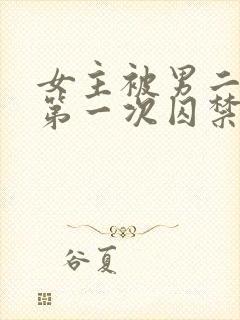 女主被男二夺走第一次囚禁的文推荐