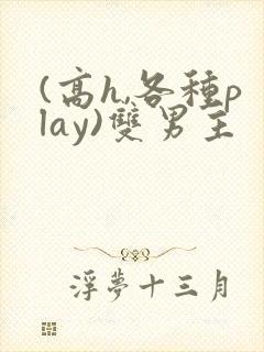 (高h,各种play)双男主