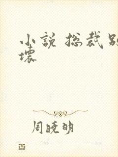 小说 总裁别太坏