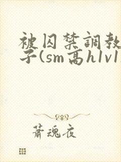 被囚禁调教的日子(sm高h1v1)