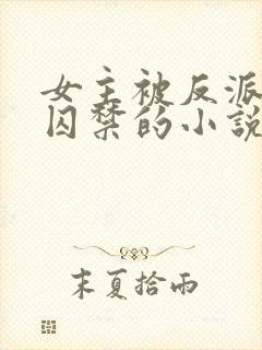 女主被反派强迫囚禁的小说