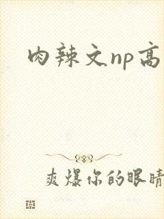肉辣文np高h