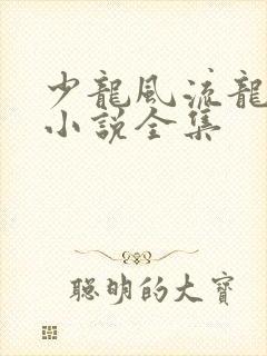 少龙风流龙剑飞小说全集封面