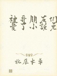 被哥朋友们强制爱了小说免费阅读最封面