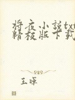 将夜小说txt精校版下载封面