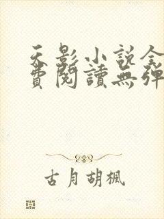 天影小说全文免费阅读无弹窗