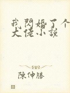 我闪婚了个财阀大佬小说