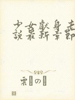 少女献身老汉小说最新章节