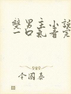 双男主小说推文一口气看完甜文封面