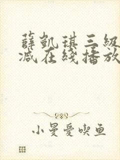 薛凯琪三级无删减在线播放封面