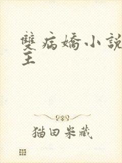 双病娇小说双男主