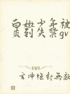 白嫩少年被调教爽到失禁gv小说封面