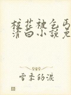 校花被乞丐毁了清白小说免费阅读封面