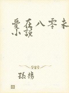 爱在八零未嫁时小说