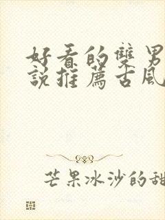 好看的双男主小说推荐古风封面