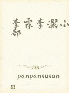 李霖李澜小说全部