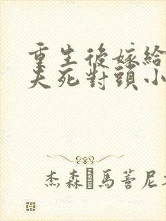 重生后嫁给了前夫死对头小说