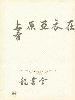 上原亚衣在线观看封面