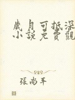 岁月可抵深情长小说免费观看