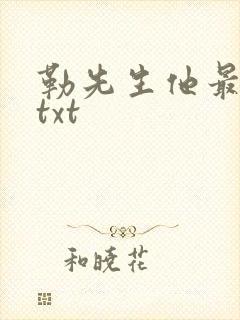 勒先生他最苏了txt