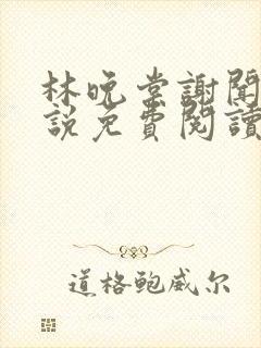 林晚棠谢闻舟小说免费阅读最新章节封面