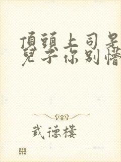 顶头上司是后妈儿子你别懵