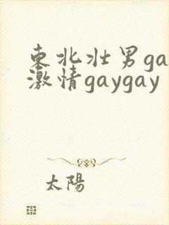 东北壮男gay激情gaygay封面