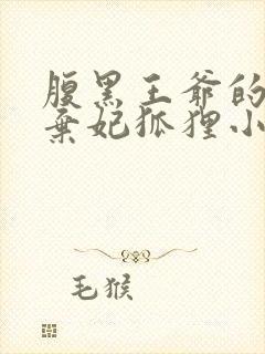 腹黑王爷的绝色弃妃狐狸小姝完整版